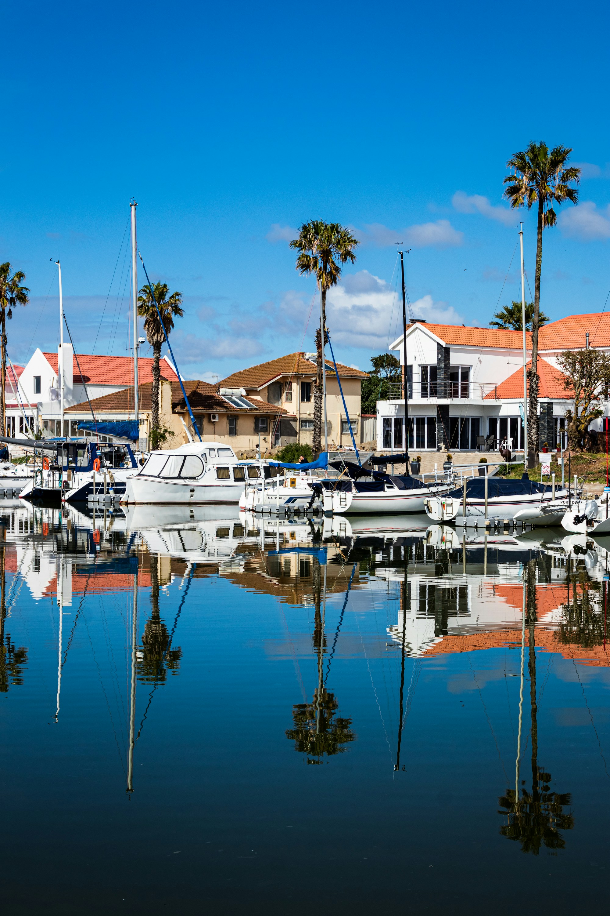 Real yacht-club waterfront with boats, palm trees, and club-area buildings
